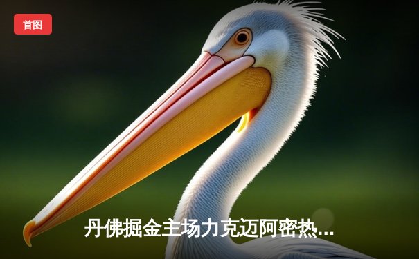 丹佛掘金主场力克迈阿密热火，约基奇全能表现锁定总决赛开门红