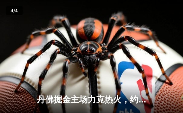 丹佛掘金主场力克热火，约基奇全能表现锁定队史首冠 - 4